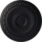Ekena Millwork Caputo Ceiling Medallion (Fits Canopies up to 6"), Hand-Painted Steel Gray, 24 1/4"OD x 1 1/2"P CM24CASGS - alternate 1